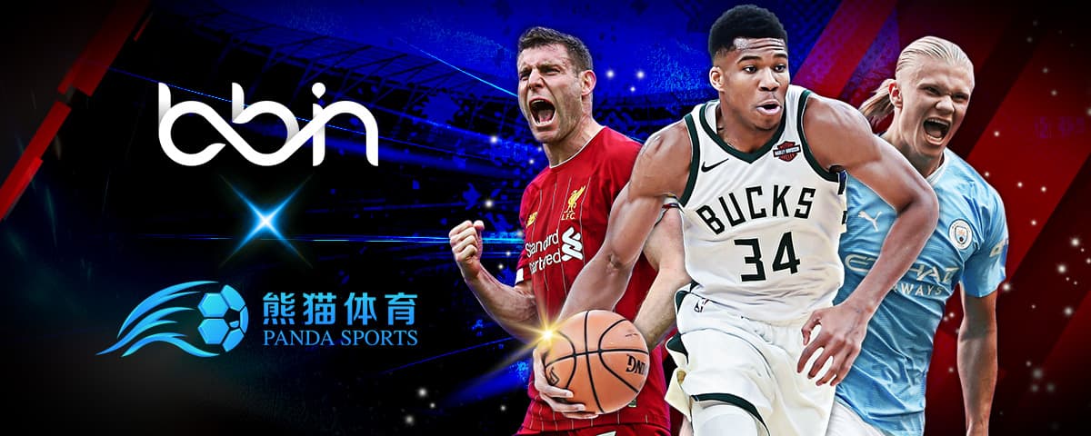 2024德國歐洲杯預選賽積分榜.